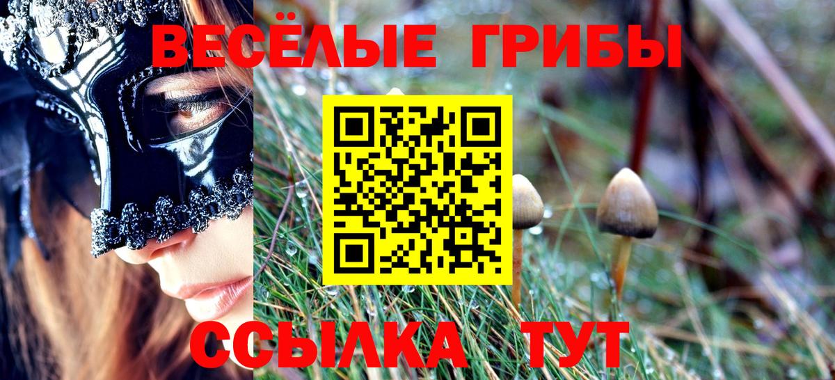 Псилоцибиновые грибы Cubensis Родники