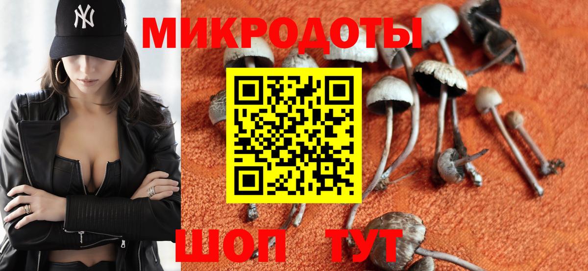 Родники  закладки  Вход с VPN  Псилоцибиновые грибы Cubensis 